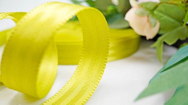 25mm可定制四条纹涤纶座椅织带WD005