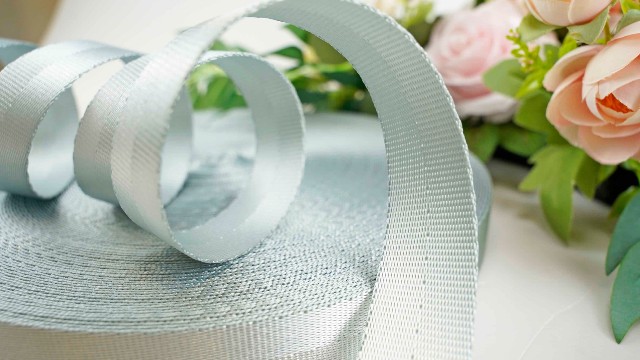 25mm可定制二条纹涤纶座椅安全带WD158
