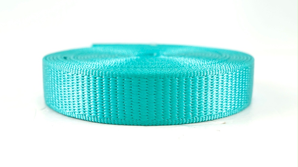 25mm(1英寸）平纹尼龙织带OPA-001